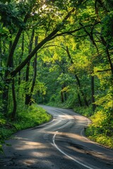 Fototapeta premium A winding road in a forest with trees on both sides. The road is surrounded by green foliage and the sunlight is shining through the trees