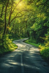 Obraz premium A winding road in a forest with trees on both sides. The road is surrounded by green foliage and the sunlight is shining through the trees