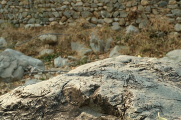 stones on the forest fall autumn season yellow