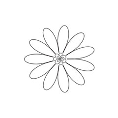 white flower on white background illustrations 