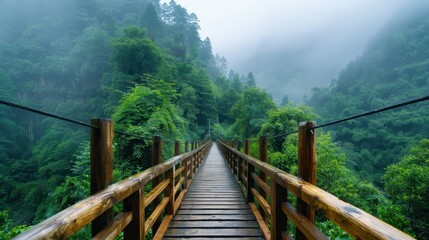 Obraz premium A mesmerizing image of a wooden bridge extending into the dense and misty green forest, encapsulating the allure of exploration and the beauty of untouched nature.