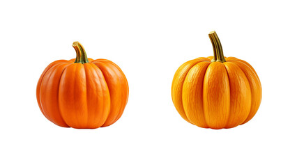 Autumn pumpkin cutout