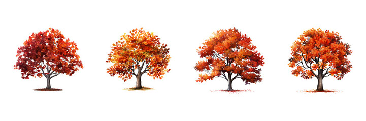 Autumn tree set cutout. Set of autumn tree on transparent background