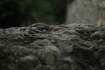close up of a rock depth of field shallow background