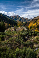 Autumn landscape in the mountains