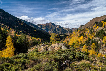 Autumn landscape in the mountains