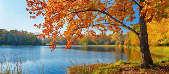 Obraz premium Vivid autumn hues adorn a maple tree by a tranquil lake, offering a stunning view for a copy space image.