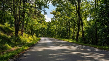 Fototapeta premium Scenic road trip through a beautiful countryside