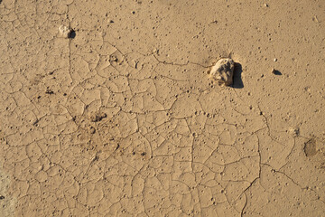 A rocky, cracked ground with a small rock on it