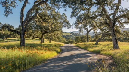 A cheerful photograph of a winding country road lined with blooming wildflowers and tall trees, under a bright blue sky.