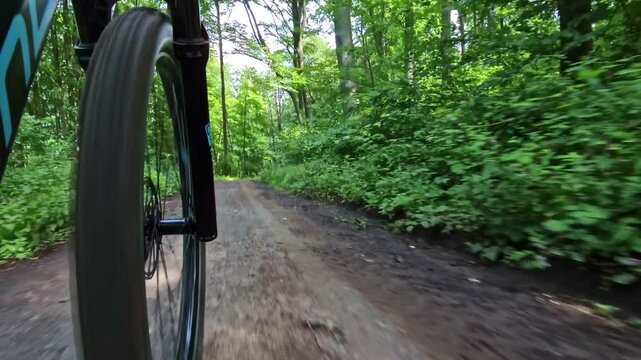 Mountainbiken im Wald, Fahrradfahren, Fahradtour, Natur, B&auml;ume, Gesundheit, Sport, E-Bike, MTB, Gravelbike