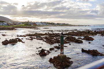 Obraz premium Gansbaai Bay