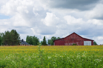 From Pajala, Swedish Laponia, Norrbotten, Sweden