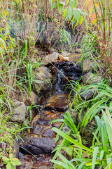 stream
