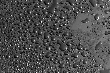Water drops on a black background. Texture