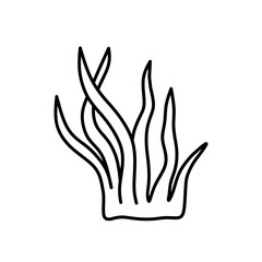 Seaweed isolated on white background. Vector hand-drawn illustration in doodle style. Perfect for logo, various designs. Underwater world.