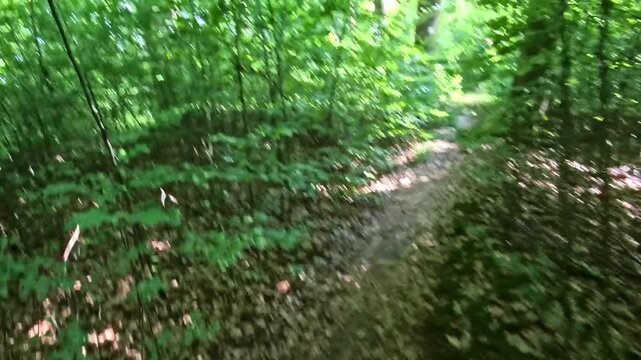 Mountainbiken im Wald, Fahrradfahren, Fahradtour, Natur, B&auml;ume, Gesundheit, Sport, E-Bike, MTB, Gravelbike