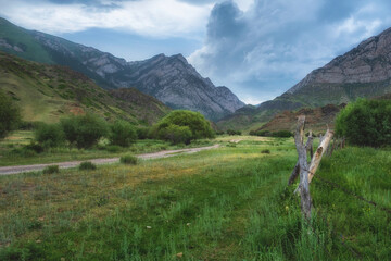 Fototapeta premium A field in front of the mountains with a winding road to the beautiful mountain gorge of Komershi in Kazakhstan in summer.