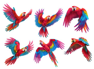 Obraz premium Set of cartoon flying parrots isolated on white or transparent background, png clipart, design element. Easy to place on any other background.