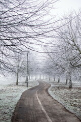 York UK, Fulford, 2019, Winter