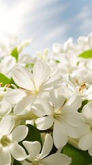 Naklejka premium Closeup of beautiful and delicate spring white lilac flowers