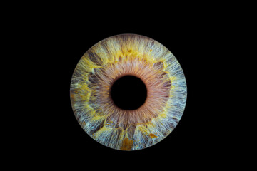 iris beauté yeux photo des yeux photos d'iris 