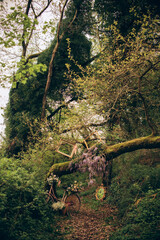 shooting printanier brunch