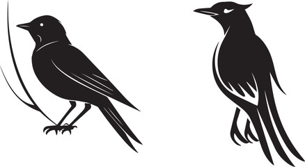 Bird set icons logo type silhouette