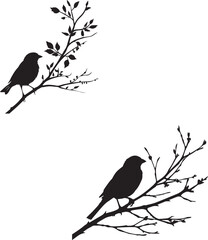 Sparrow bird silhouette branch