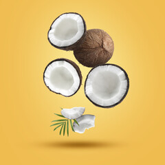 Coconuts and green leaf falling on golden background