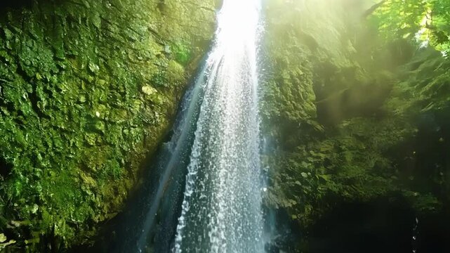 Sunlight peeking through the canopy of trees illuminating the crystal clear waters of a hidden forest waterfall.