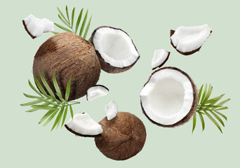 Coconuts and green leaves falling on color background