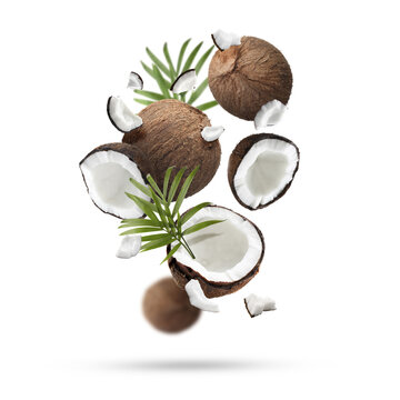 Coconuts and green leaves falling on white background