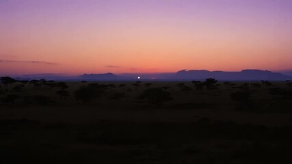 The transition from day to night brings a sense of calm and tranquility to the savannah a peaceful oasis in the African landscape.