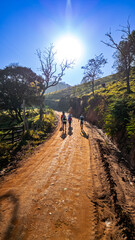 Fazenda Sítio Passa Quatro Minas Gerais Serra Mantiqueira Brasil Natureza Montanhas Paisagens Turismo Ecoturismo Aventura Trilhas Rios Florestas Biodiversidade Verde Estrada de Terra Vaca Rebanho Boi