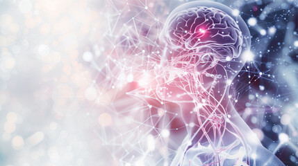 Human Body Schematic: Neural Connections and Anatomy Overview"
"Neural Connections in Human Body Schematic: Detailed Anatomy Visualization"