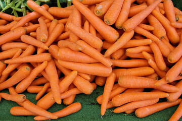 Fresh carrots at Farmer's Market