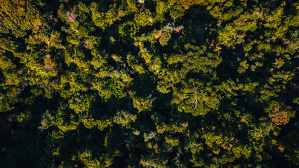 Paisagens Serra Mantiqueira Itamonte Passa Quatro Minas Gerais Brasil Esportes Ultramaratona...