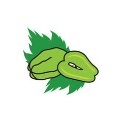 pumpkin fruit icon vector illustration design