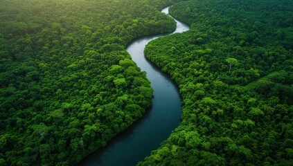 Meandering river winding through lush green rainforest, aerial view of Amazon basin landscape with dense vegetation canopy. Concept of nature, wilderness, ecology and biodiversity