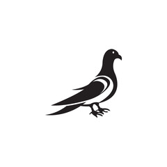 pigeon vector logo vector template