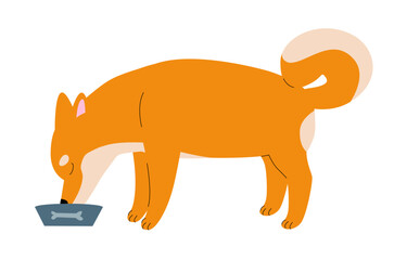 Shiba Inu dog isolated on white background. Japanese dogs breed. Happy dog illustration. Simple flat vector design for print.