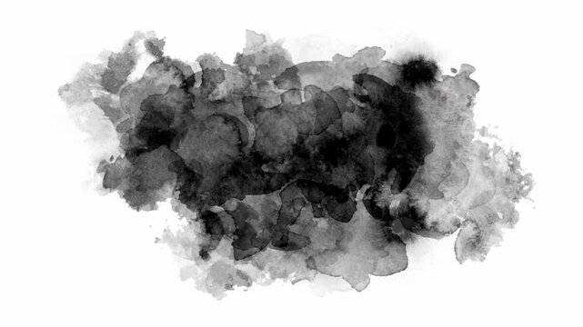 black ink watercolor effect on wet white canvas, ink drop effect, alpha layer filter on a white background, dripping slow motion spot ink fluid drops, digital black color explosion transition