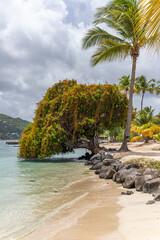 Bay view in Sainte-Anne, Martinique, France