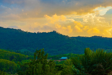 Sunset over the mountains with golden sky and silhouetted trees.
