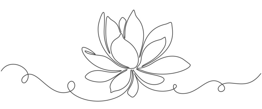 Line art illustration of the lotus flower. linear floral pattern. Vector design of a water lily