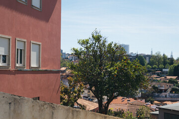 Beautiful Sights of Porto, Portugal: Urban and Coastal Landscapes