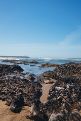Beautiful Sights of Porto, Portugal: Urban and Coastal Landscapes