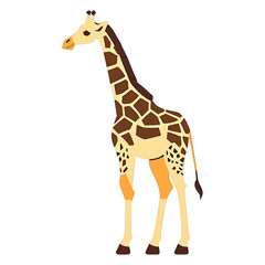 A giraffe on a transparent background, Png file