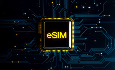Illustration of a computer chip with the word text letters Esim written on it, set against a backdrop of circuit board patterns.